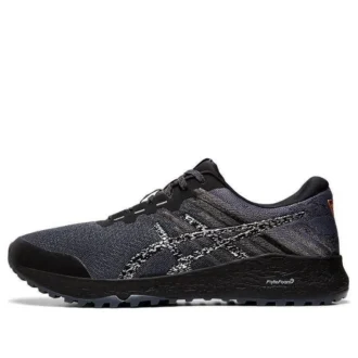 Alpine XT 2 «Carrier Grey Silver»