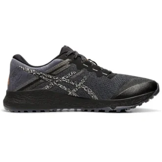 Alpine XT 2 «Carrier Grey Silver»