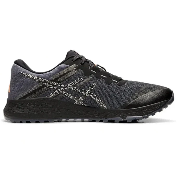 Alpine XT 2 «Carrier Grey Silver»