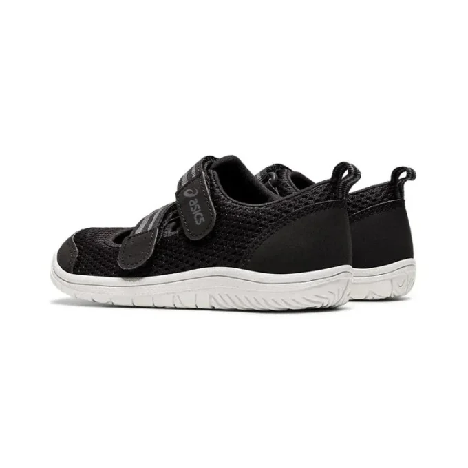 Amphibian 8 K Negro