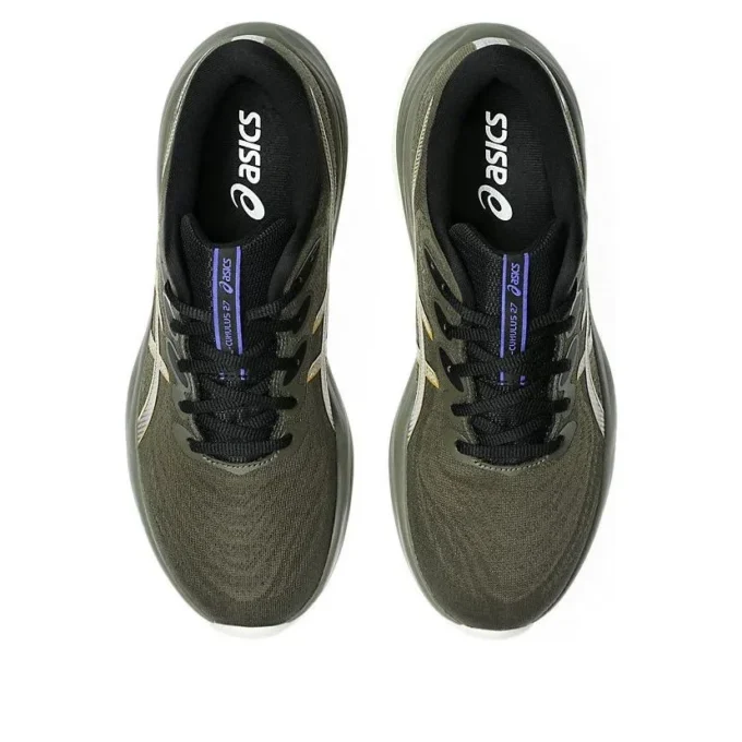 Asics Gel-Cumulus 27 GTX «Brown Stone Whisper Green»