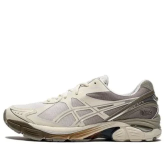 Asics x DIME GT-2160 «Arctic Wolf»
