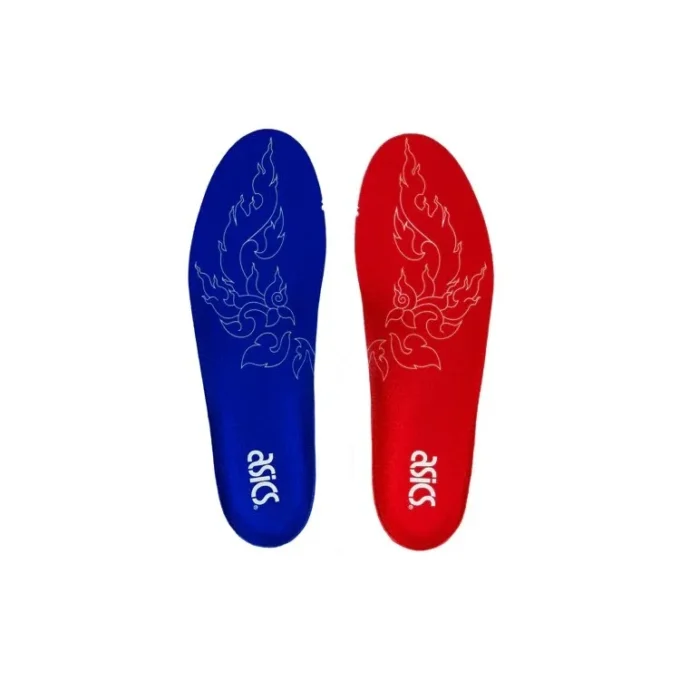 Carnival x GEL DS OG «Muay Thai»