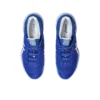 Court FF 3 Novak «Blue White»