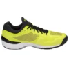 Court FF «Sulphur Spring Black»