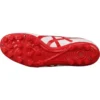 DS Light AG «Blanco Rojo»