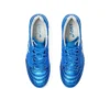 DS Light X-FLY 5 «Directoire Blue White»