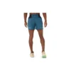 Fujitrail All Over Print 5In Shorts «Blue»