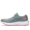 Gel-Cumulus 22 «Piedmont Grey Steel»