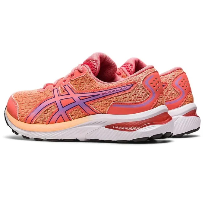 Gel-Cumulus 24 «Papaya Dusty Purple»