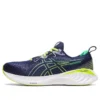 Gel-Cumulus 25 «Midnight Cilantro»