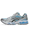 Gel-Kayano 14 «Arctic Sky Pure Silver»