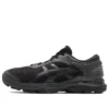 Gel-Kayano 25 «Negro»