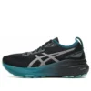 Gel-Kayano 31 Lite-show CN «Black Teal»