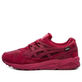 Gel-Kayano Gore Tex «Burgundy»