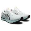 GEL Nimbu 24 «Light Steel White»