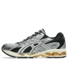 Gel-Nimbus 10.1 «Piedmont Grey Pure Silver»