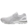 Gel-Nimbus 19 «Glacier Grey»