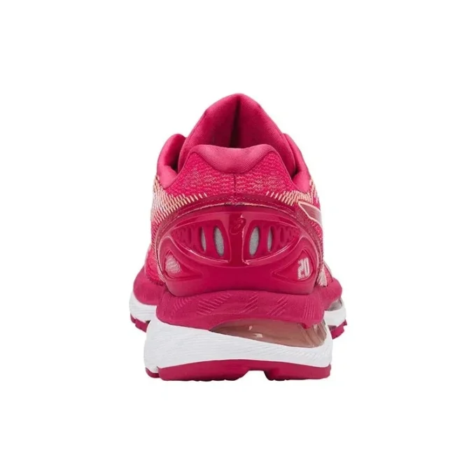 Gel-Nimbus 20 «Rose Red»