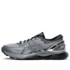 Gel-Nimbus 21 Platinum «Sheet Rock Silver»