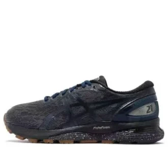 Gel-Nimbus 21 Winterized «Graphite Grey»