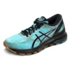 Gel-Nimbus 21 «Winterized – Ice Mint»
