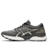 Gel-Nimbus 22 Platinum «Pure Silver»