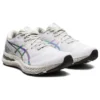 Gel-Nimbus 23 «Platinum»
