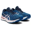 Gel-Nimbus 24 «French Blue Barely Rose»