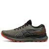 Gel-Nimbus 24 TR «Nature Bathing – Olive»