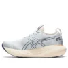Gel-Nimbus 25 «Sky Cream»