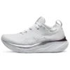 Gel-Nimbus 26 Platinum «Real White Pure Silver»