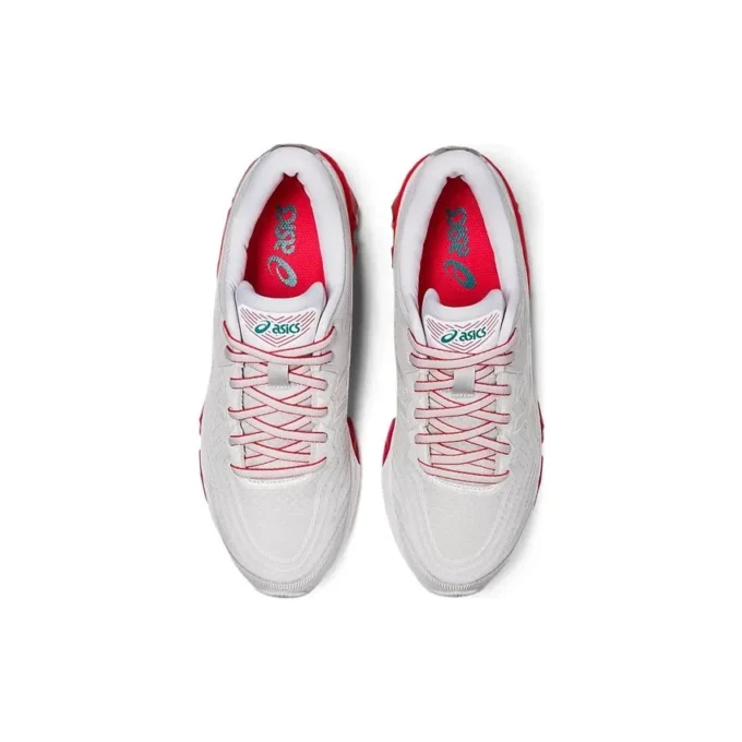 Gel-Quantum 360 VII Winterised «Grey Red»