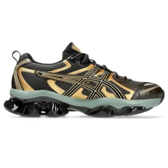 Gel-Quantum Kinetic «Dark Sepia»