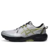 GEL-Venture 11 «Gris Amarillo»