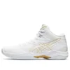 Gelhoop V12 «Blanco»