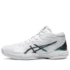 Gelhoop V14 «White Prism Green»