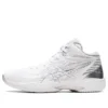 Gelhoop V14 «White Silver»