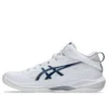 Gelhoop V17 S «White Mako Blue»