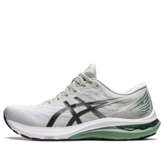GT-2000 11 «Light Sage Black»