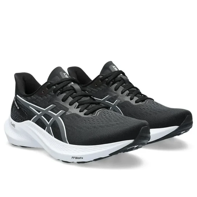 GT-2000 12 «Black Carrier Grey»
