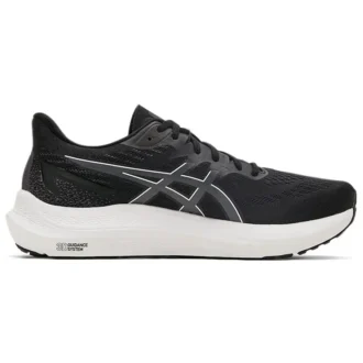 GT-2000 12 “Gris Carrier Negro”