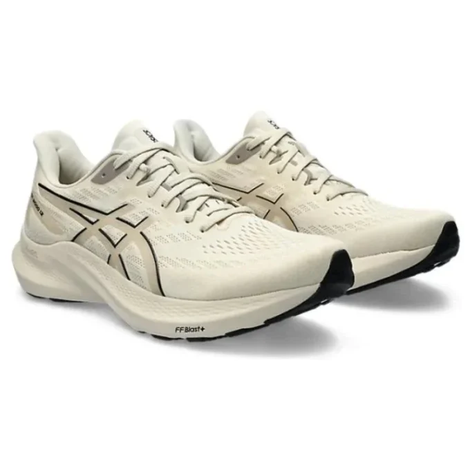 GT-2000 12 «Oatmeal»