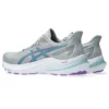 GT-2000 12 «Piedmont Grey Gris Blue»