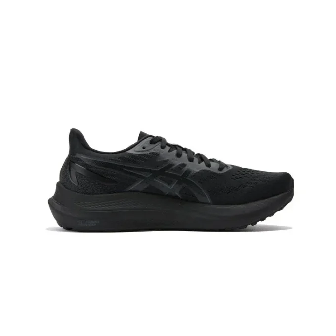 GT-2000 12 «Triple Black»
