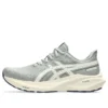 GT-2000 13 ATC «Seal Grey Brich»