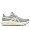 GT-2000 13 ATC «Seal Grey Brich»