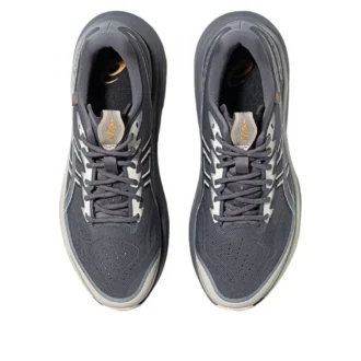 GT-2000 14 Go «Carbon Cream»