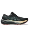 GT-2000 14 Gore-Tex «Black Misty Pine»