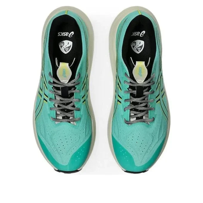 GT-2000 14 TR «Aurora Green Cacti»